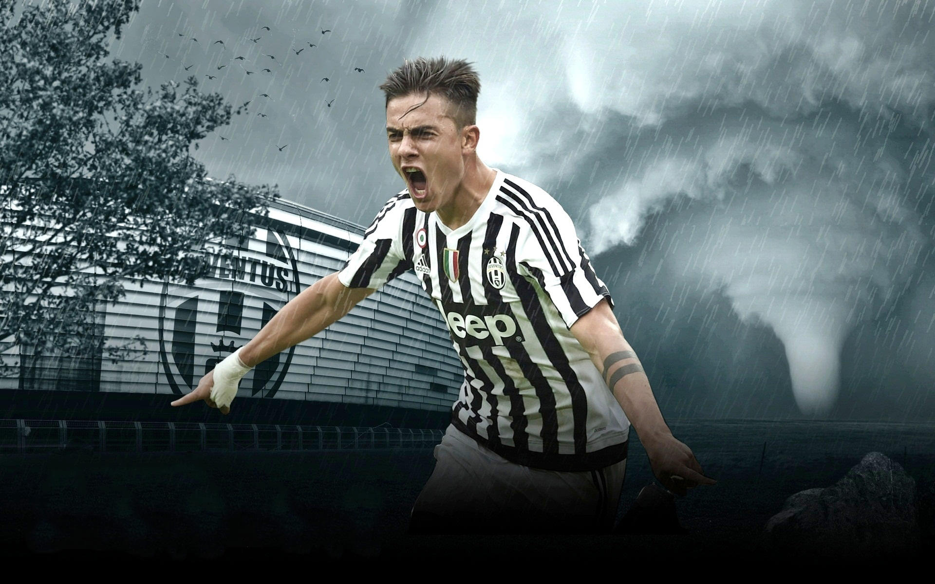 徐江评申花错失冠军：管理层决策有问题，领先时选择足协杯（徐江点评申花丢冠：管理层决策失误，领先期押宝足协杯）