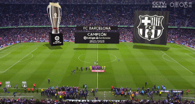 梦回2010，墨西哥vs南非是世界杯历史首次两度上演的揭幕战